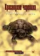 Красноухие черепахи: Содержание и уход - фото 1