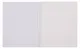 Тетрадь 96л кл. "Крысуня" гребень, мел.картон, выб.лак. 2-я обложка-разделитель: мел.картон, ассорти - фото 2