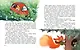 Бени и Фил: книга о дружбе и о том, как ее найти - фото 6