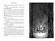 Рожденная огнем. Книга 1. Дюжина и Ледяной лес - фото 10