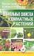 Целительные свойства комнатных растений - фото 1