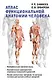 Атлас функциональной анатомии человека. Учебное пособие - фото 1