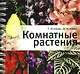 Комнатные растения. Цветы от А до Я. - фото 1