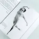Мой театр. Книга вторая - фото 11
