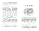 Котенок Луна, или Пушистый сюрприз (выпуск 55) - фото 11