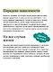 Подходим друг другу: Как теория привязанности поможет создать гармоничные отношения. NEON Pocketbooks - фото 7