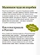 Русская елочная игрушка. Козули, космонавты и бонбоньерки в истории самого любимого праздника - фото 7