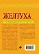Желтуха - фото 2
