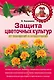 Защита цветочных культур от болезней и вредителей - фото 1