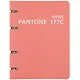 Тетрадь на кольцах в клетку Listoff, "Pantone line 177С", 120 листов - фото 1