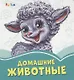 Домашние животные - фото 1