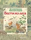 Вести из леса (ил. М. Белоусовой) - фото 1