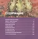 Большая энциклопедия школьника - фото 2