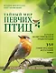 Тайный мир певчих птиц. Большая иллюстрированная энциклопедия - фото 1