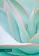 Книга для записей А5 100л кл. "Aloe" 7БЦ, ламинация soft touch - фото 3