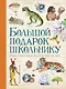 Большой подарок школьнику. Самая лучшая энциклопедия обо всем на свете - фото 1