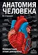 Анатомия человека: компактный атлас-раскраска - фото 1
