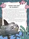 ЭНЦИКЛОПЕДИЯ В КАРТИНКАХ. МИР ПОД ВОДОЙ глянц.ламин.,тиснение, мелов. 215х290 - фото 3