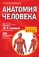 Анатомия человека - фото 1