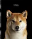 Тетрадь общая «Selfie dog» в ассортименте, 48 листов в клетку, A5 - Listoff - фото 3