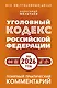 Уголовный кодекс Российской Федерации на 2026 год. Понятный практический комментарий - фото 1