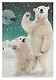 Коробка подарочная "Мишки" НГ, 21*14*8.5, картон - фото 7