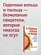 О годичных кольцах и пыльце: истории о прошлом человечества глазами растений - фото 5