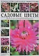 Садовые цветы. Виды и сорта, сроки цветения, уход - фото 1
