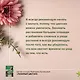Любимый цветник. Простые шаги для создания декоративного сада - фото 8