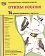 Птицы России. 16 демонстрационных карточек. Беседа, стихотворение, загадка. Игры и задания. Познавательное и речевое развитие - фото 1