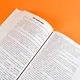 Книжные девочки - фото 10
