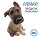 Собаки. Породистые проказники - фото 1