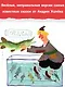 Хулиганские стихи и неправильные сказки - фото 6