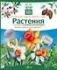Кн.с Окошками.МПО.Растения - фото 1