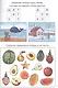 IQ ИГРЫ И ГОЛОВОЛОМКИ. ДЛЯ МАЛЫШЕЙ - фото 3