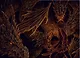 Монстры и волшебные существа: русские сказки и европейские мифы с иллюстрациями Аны Награни - фото 15