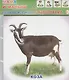 Обучающие карточки Мама и малыш (упаковка) (978-5-91282-667-2) - фото 1