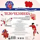 Тело человека - фото 2