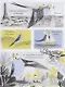 Попугай Колетт - фото 4
