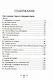 Псы господни. Повесть о Джордано Бруно: повесть - фото 2