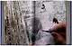 Peter Beard - фото 3