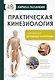 Практическая кинезиология. Упражнения для мышц-халтурщиц - фото 1