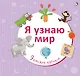 Я узнаю мир - фото 2