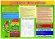 Комплект из 4-х плакатов "Безопасность в образовательной организации" ( формата А2). ФГОС - фото 4