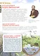 Экология. Детская энциклопедия - фото 4