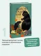 Убийство среди книг - фото 4