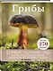 Грибы - фото 3
