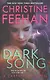 Dark Song - фото 1