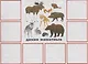 «Опиши и найди». Развивающая игра-лото (Адресована учителям-дефектологам, логопедам, воспитателям, родителям для работы с детьми) - фото 4