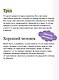 Записки из Мертвого дома. Вечные истории - фото 6